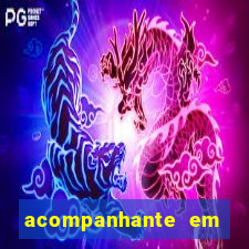 acompanhante em porto velho